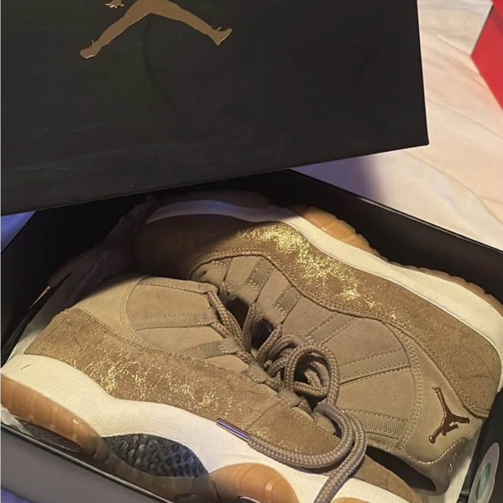 Jordan 11 retro